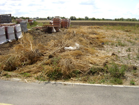 Beli Manastir, Šećeranska ulica